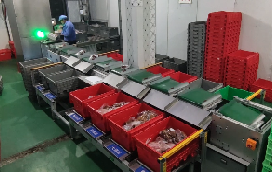 步科助力蘭州首個(gè)“中央廚房”分揀中心落成，賦能食品分揀新模式